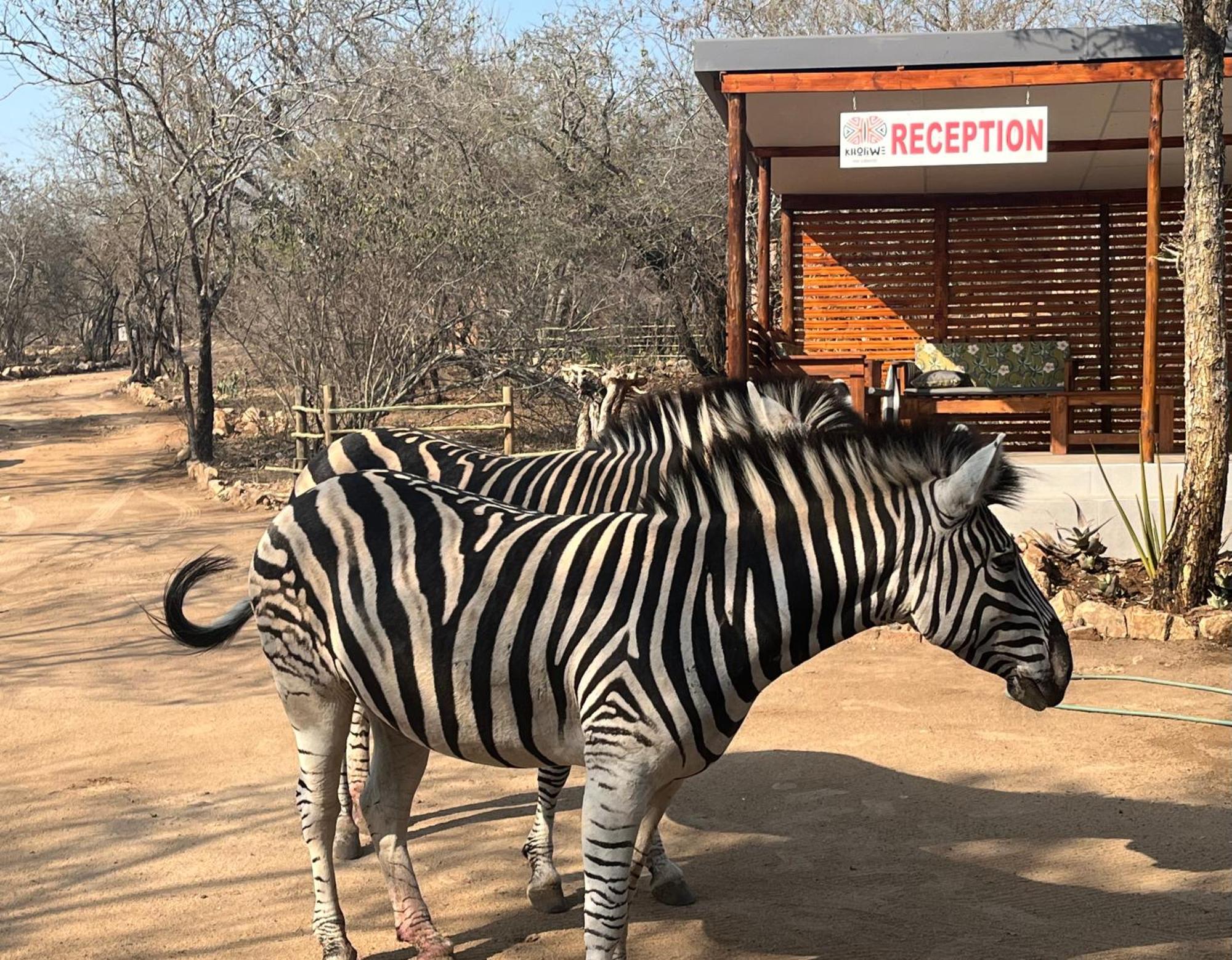 Kholiwe On Kruger Lodge & Safaris Marloth Park Exterior foto