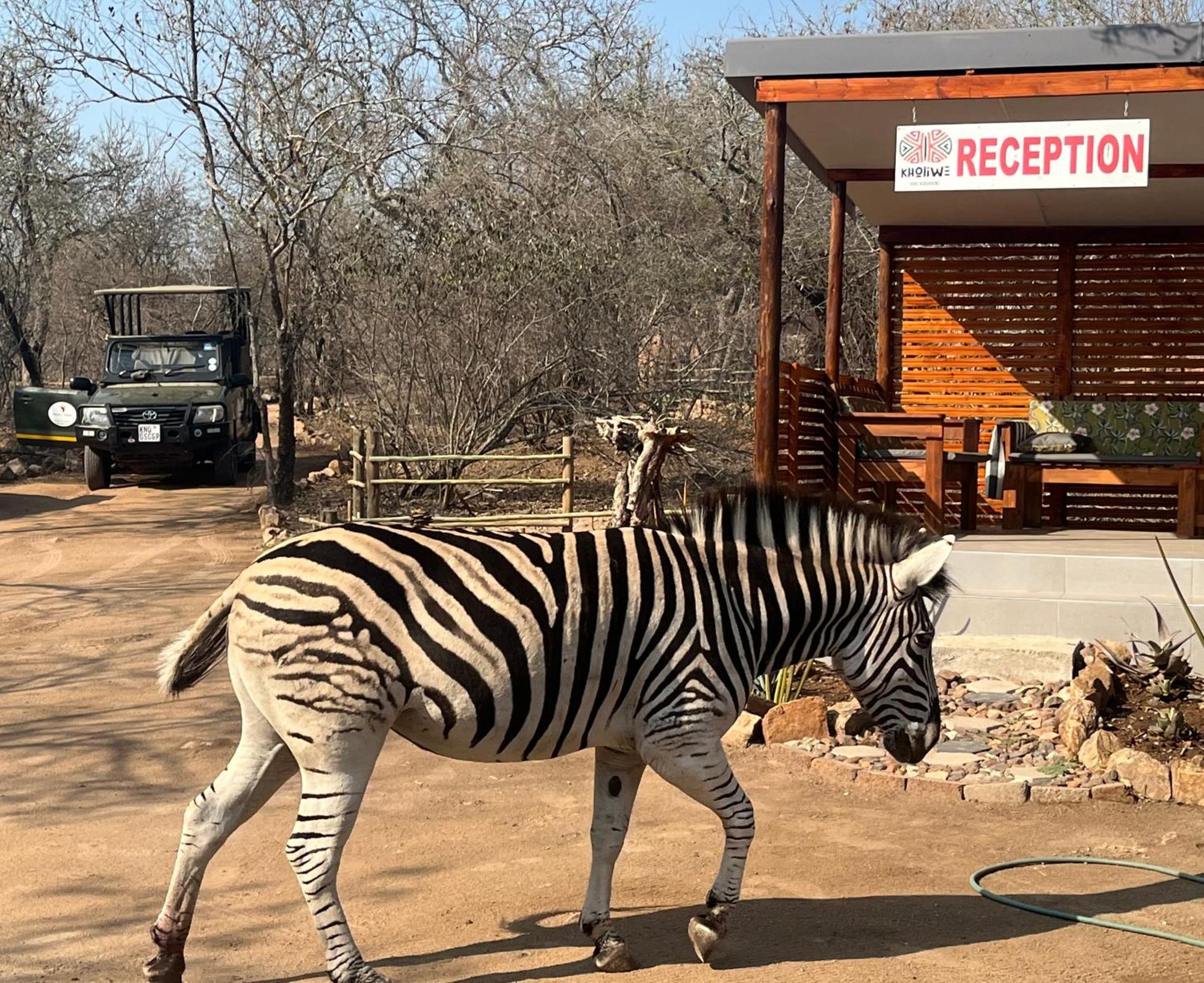 Kholiwe On Kruger Lodge & Safaris Marloth Park Exterior foto
