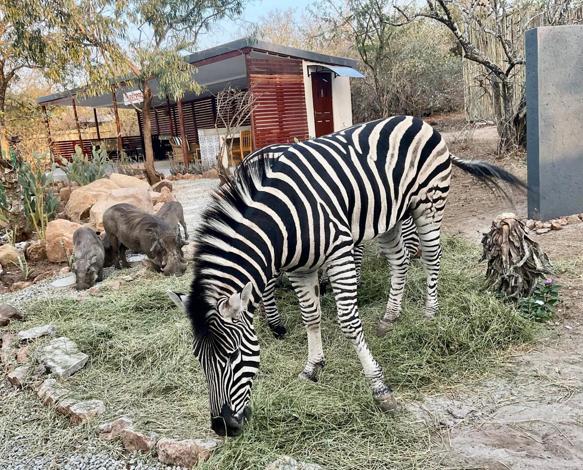 Kholiwe On Kruger Lodge & Safaris Marloth Park Exterior foto