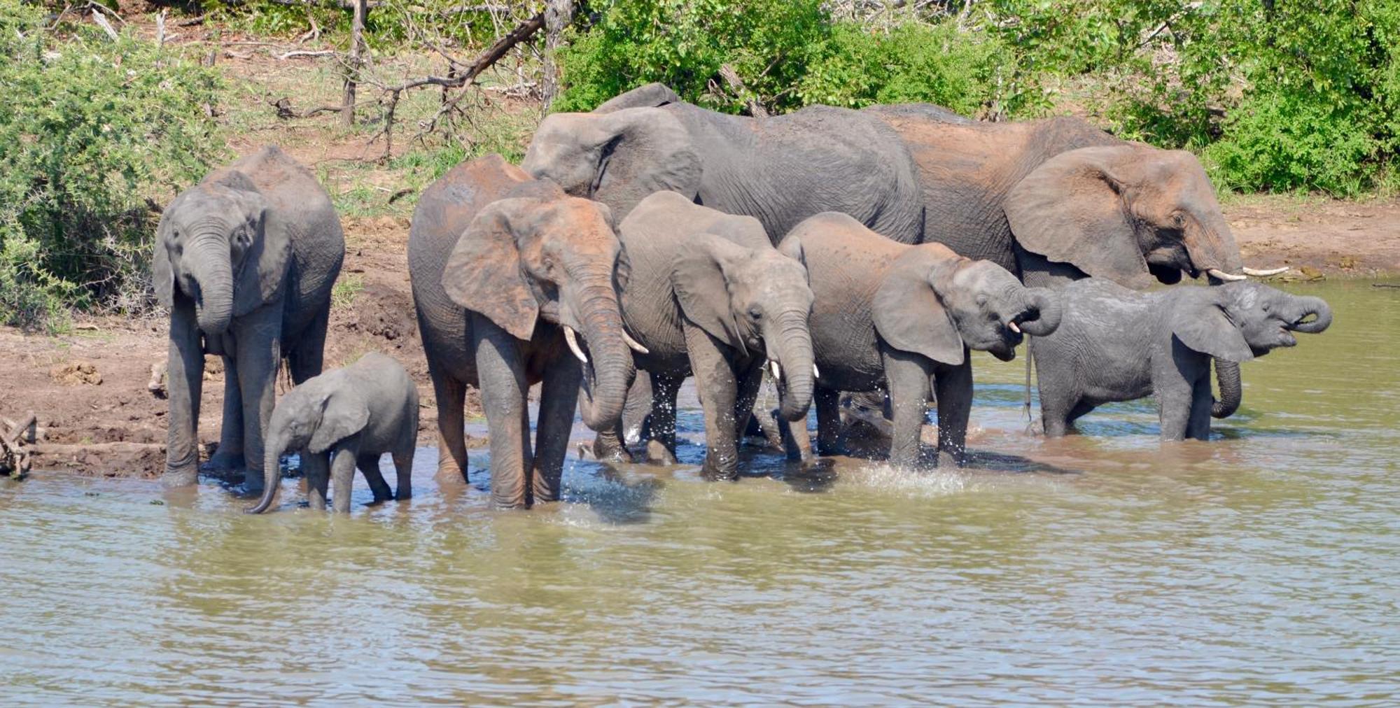 Kholiwe On Kruger Lodge & Safaris Marloth Park Exterior foto